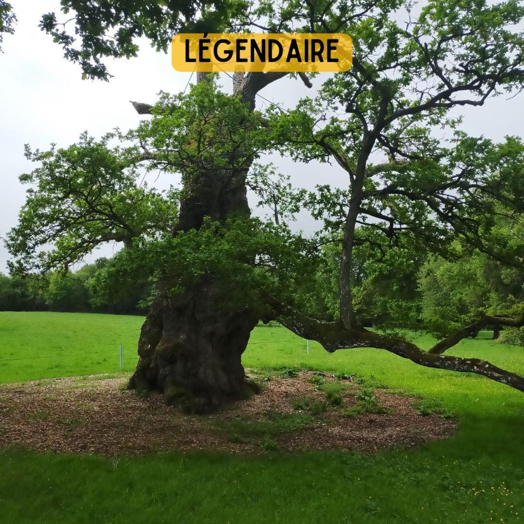 Camping Le Val Aux Fees - Broceliande Concoret Exteriör bild